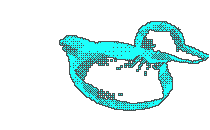 graphics